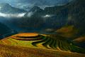 882 - TERRACES FIELDS - NGUYEN TUONG DUY - viet nam